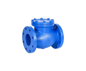 Check Valves
